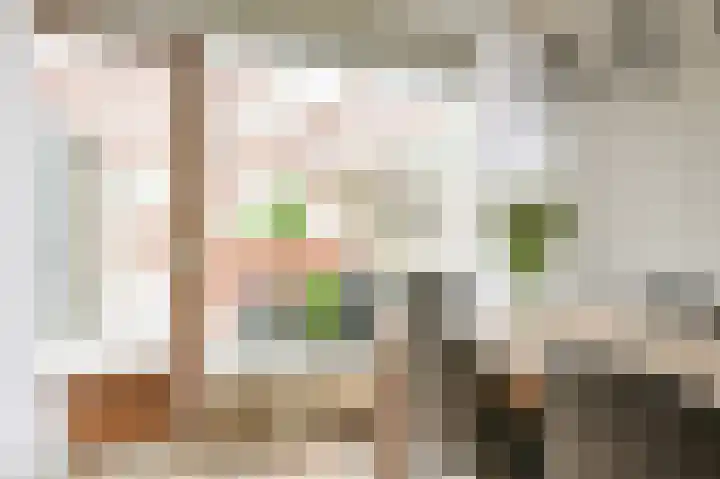 Vlassert 34 Reusel thumbnail 4