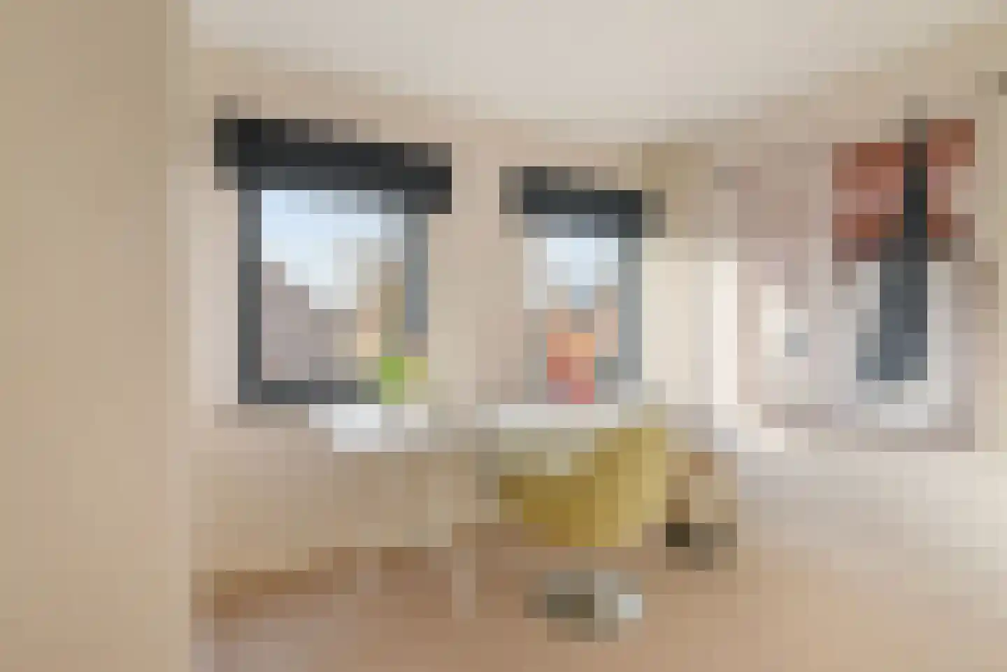 Vlassert 34 Reusel thumbnail 41