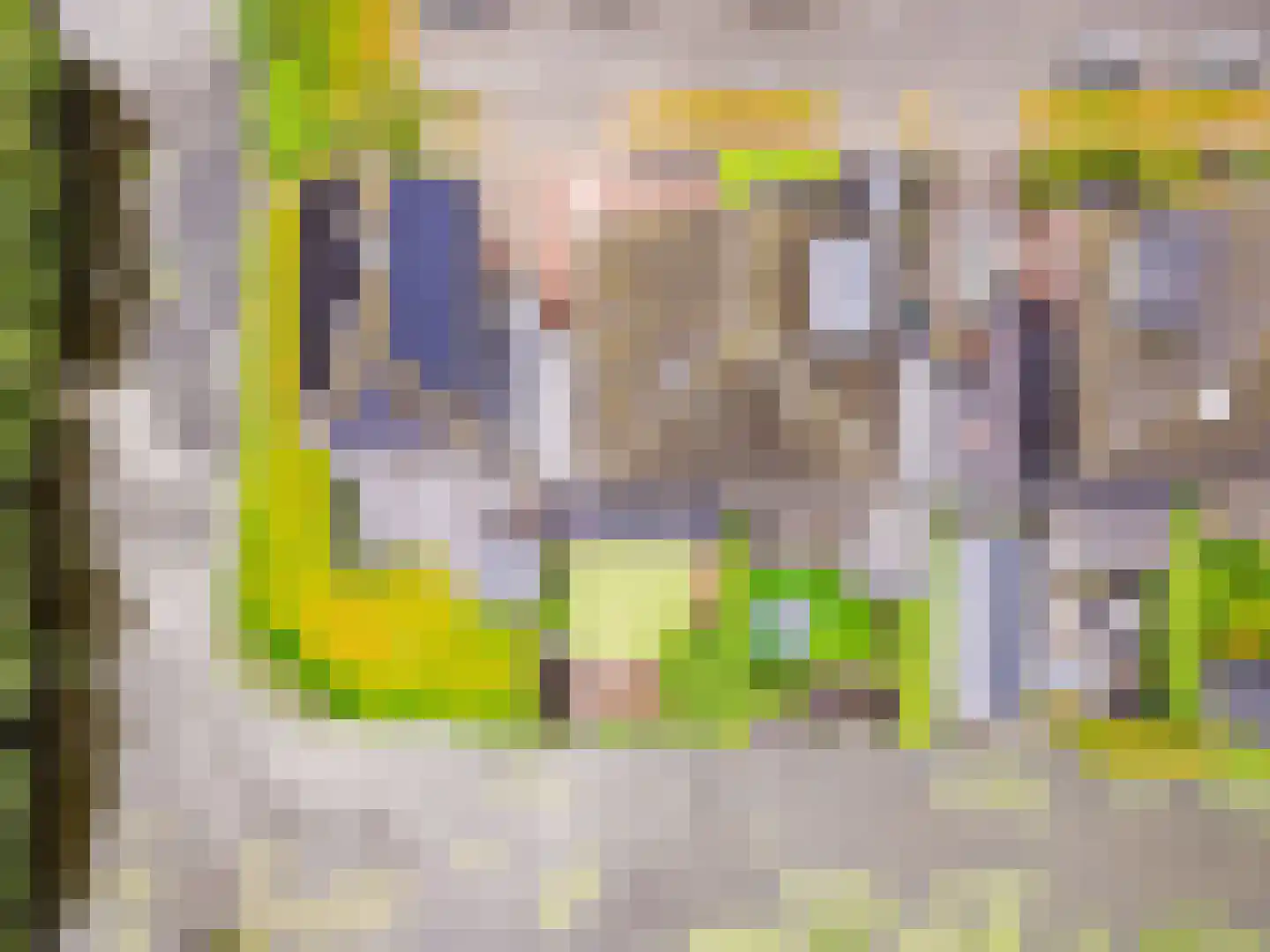 Vlassert 34 Reusel thumbnail 53