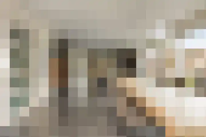 Vlassert 5 Reusel thumbnail 10
