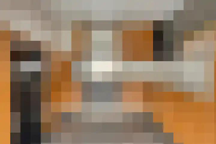 Vlassert 5 Reusel thumbnail 11