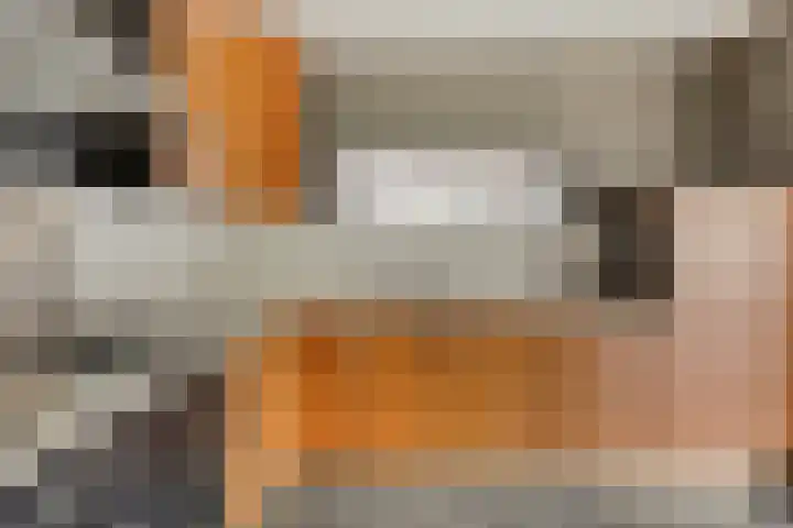 Vlassert 5 Reusel thumbnail 12