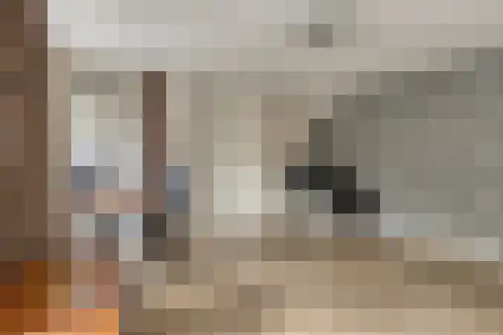 Vlassert 5 Reusel thumbnail 16