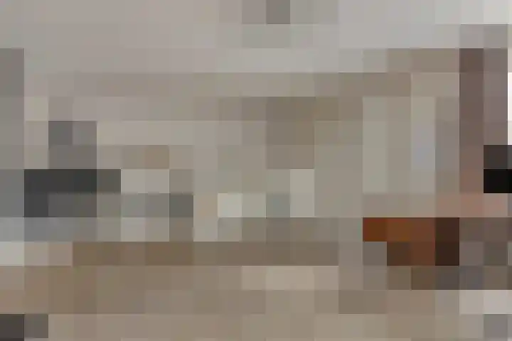 Vlassert 5 Reusel thumbnail 17