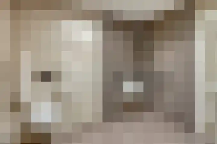 Vlassert 5 Reusel thumbnail 18