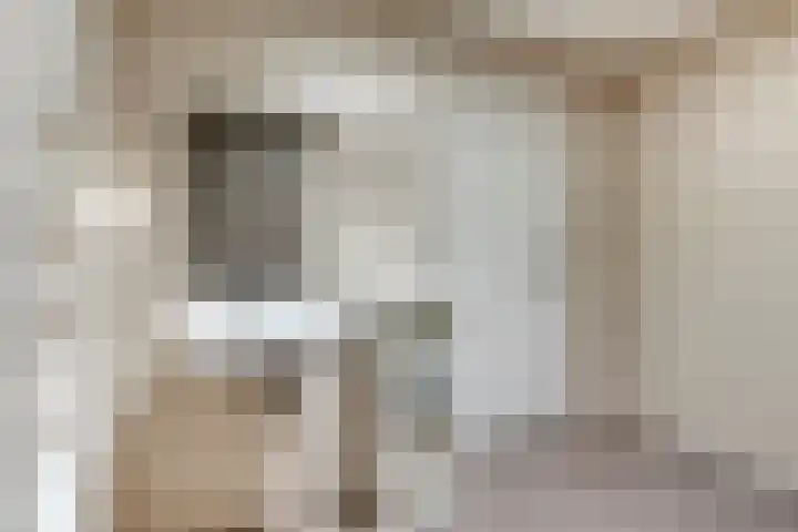 Vlassert 5 Reusel thumbnail 19