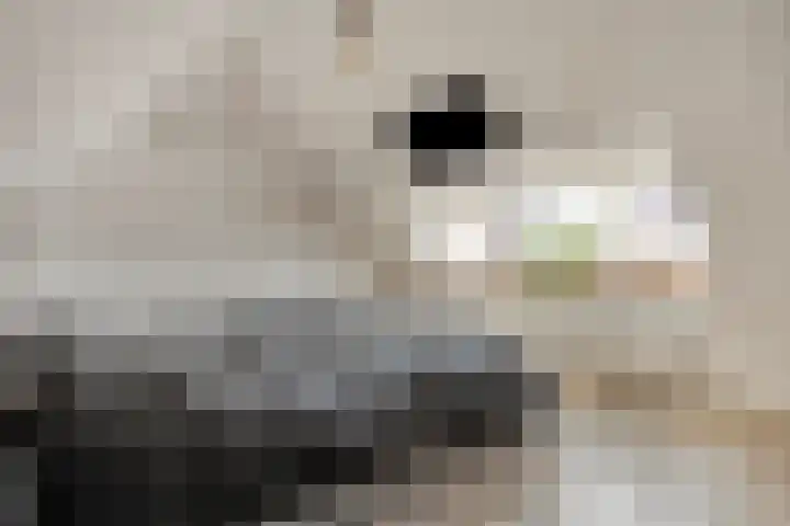 Vlassert 5 Reusel thumbnail 23