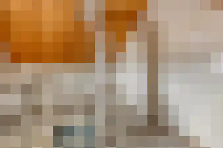 Vlassert 5 Reusel thumbnail 28
