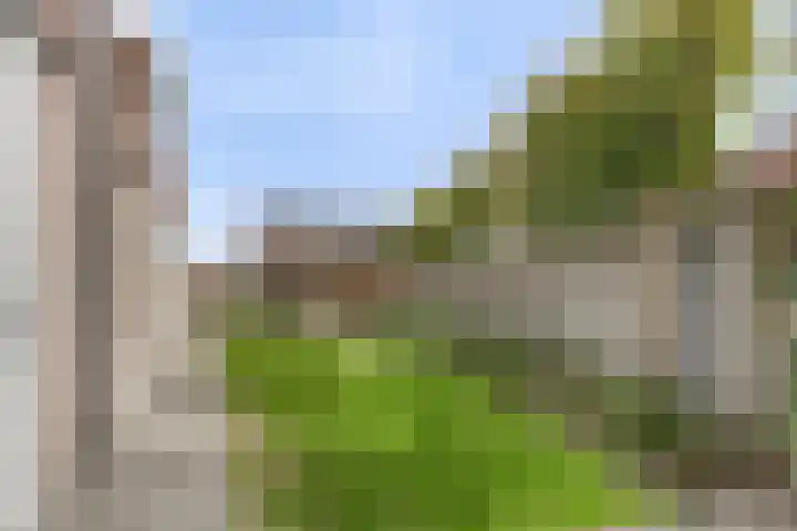 Vlassert 5 Reusel thumbnail 31