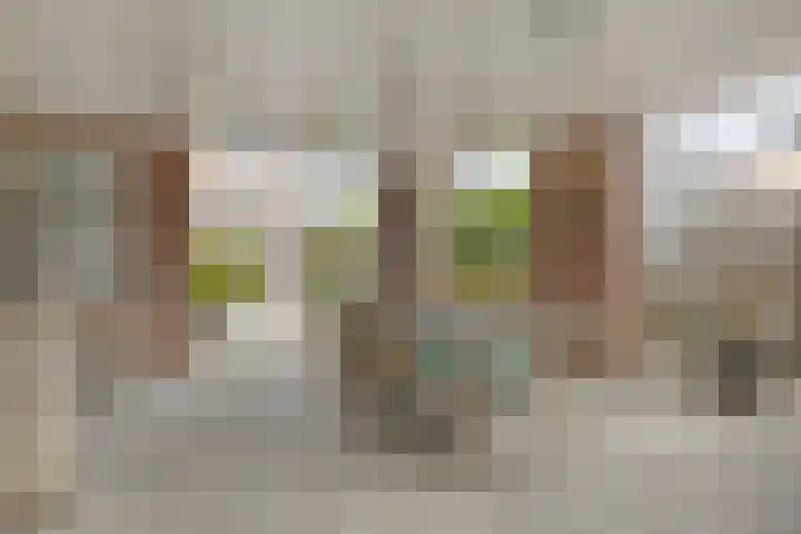 Vlassert 5 Reusel thumbnail 32