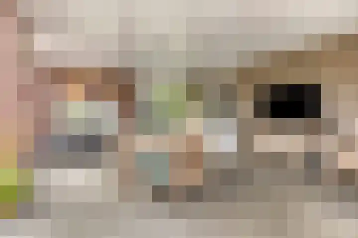 Vlassert 5 Reusel thumbnail 33