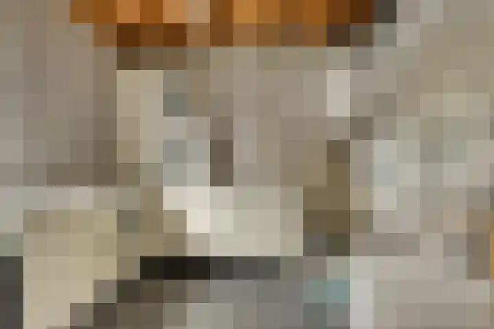Vlassert 5 Reusel thumbnail 36