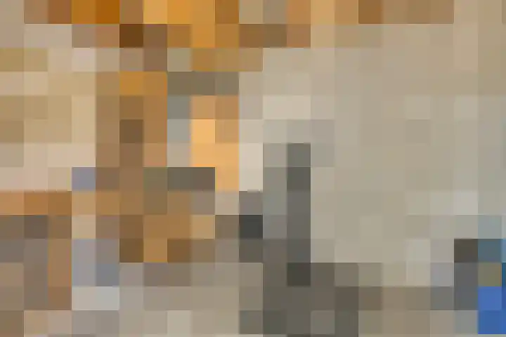 Vlassert 5 Reusel thumbnail 38