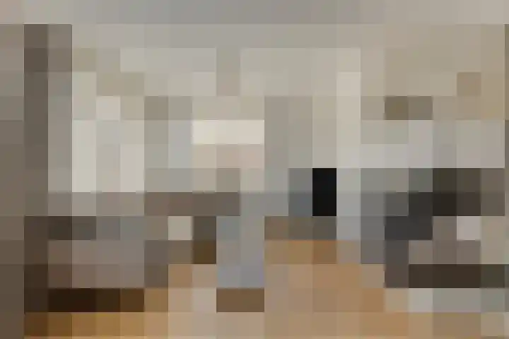 Vlassert 5 Reusel thumbnail 5