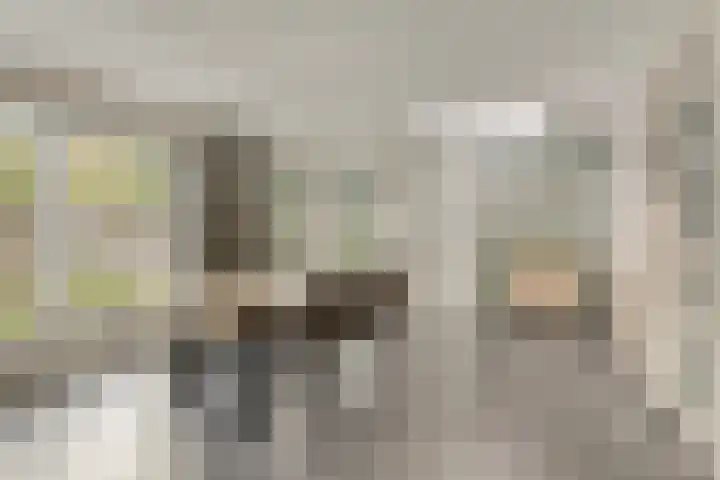 Vlassert 5 Reusel thumbnail 8