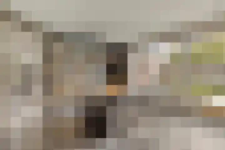 Vlassert 5 Reusel thumbnail 9
