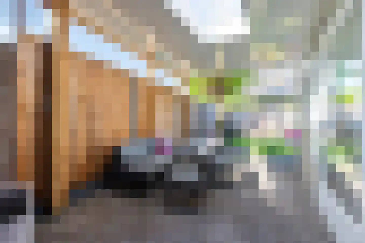 Vlasserwei 33 Valkenswaard thumbnail 20