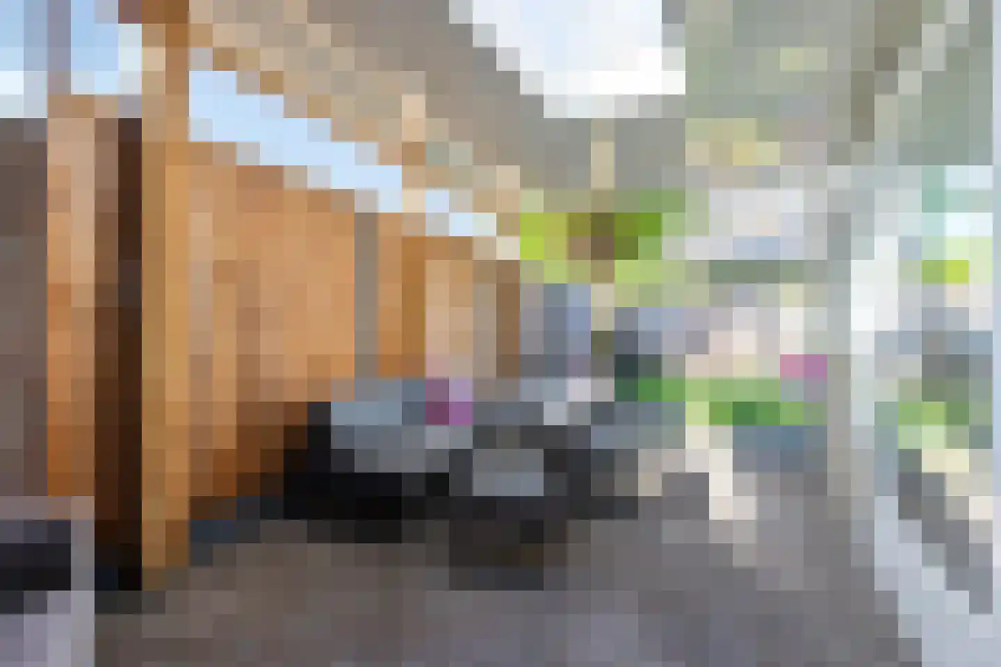 Vlasserwei 33 Valkenswaard thumbnail 20