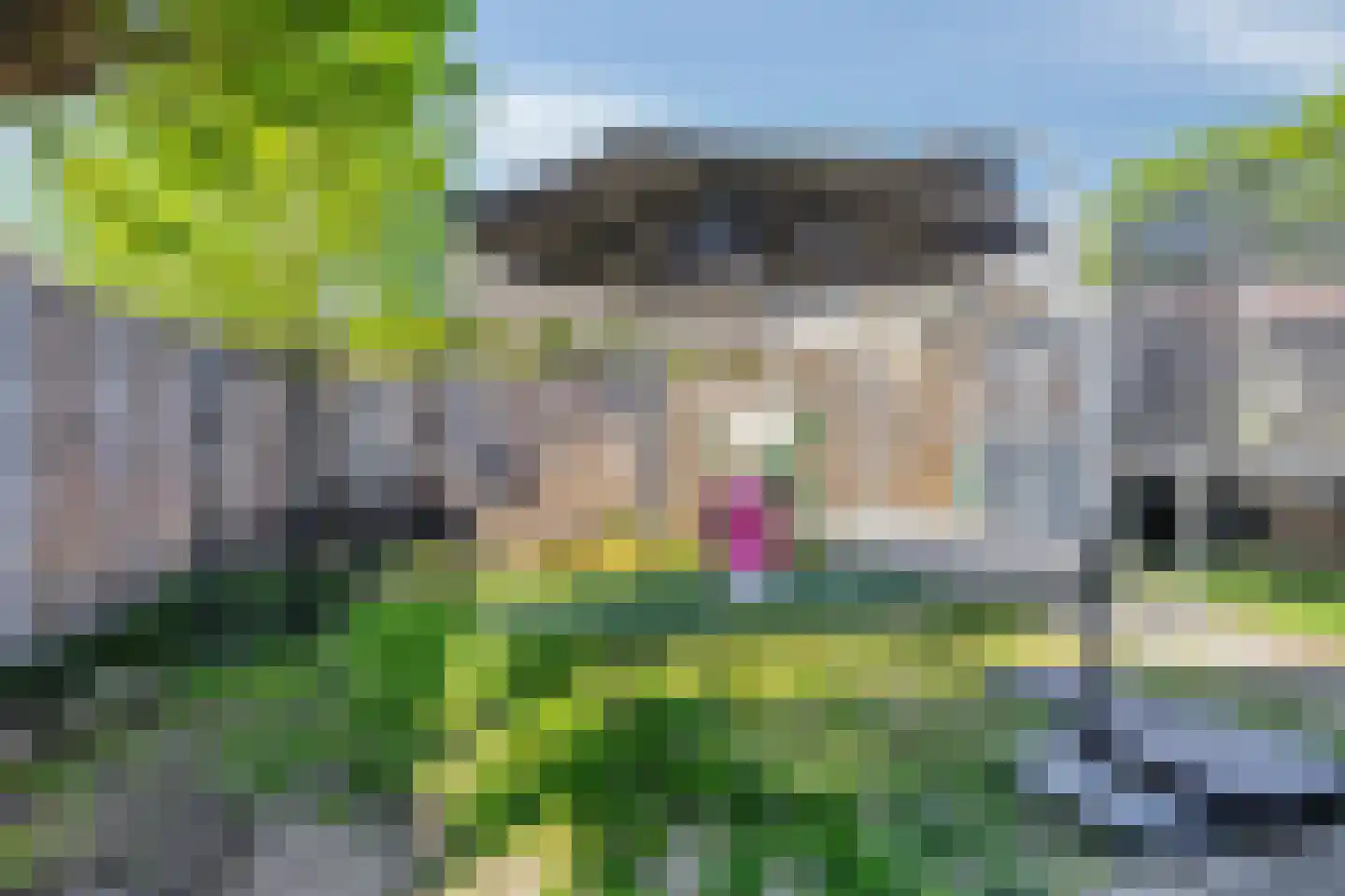 Vlasserwei 33 Valkenswaard thumbnail 21