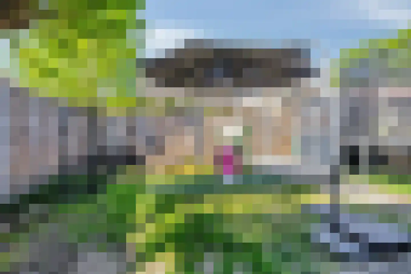 Vlasserwei 33 Valkenswaard thumbnail 21