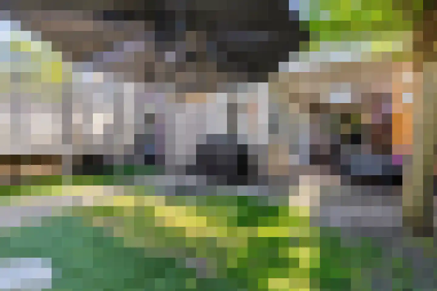 Vlasserwei 33 Valkenswaard thumbnail 22