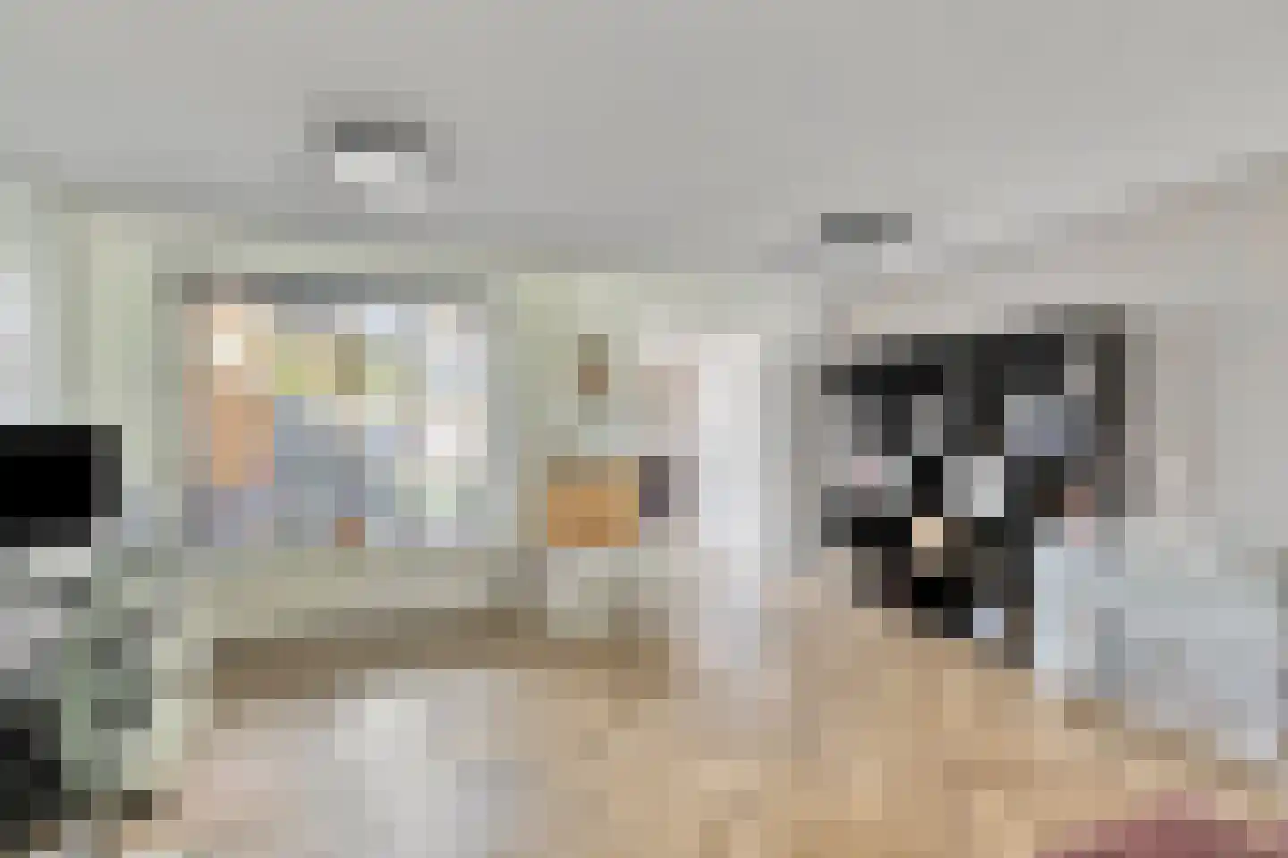 Vlasserwei 33 Valkenswaard thumbnail 4