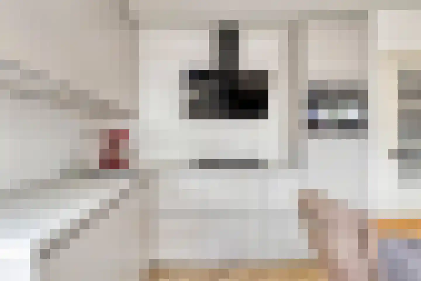 Vlasserwei 33 Valkenswaard thumbnail 7