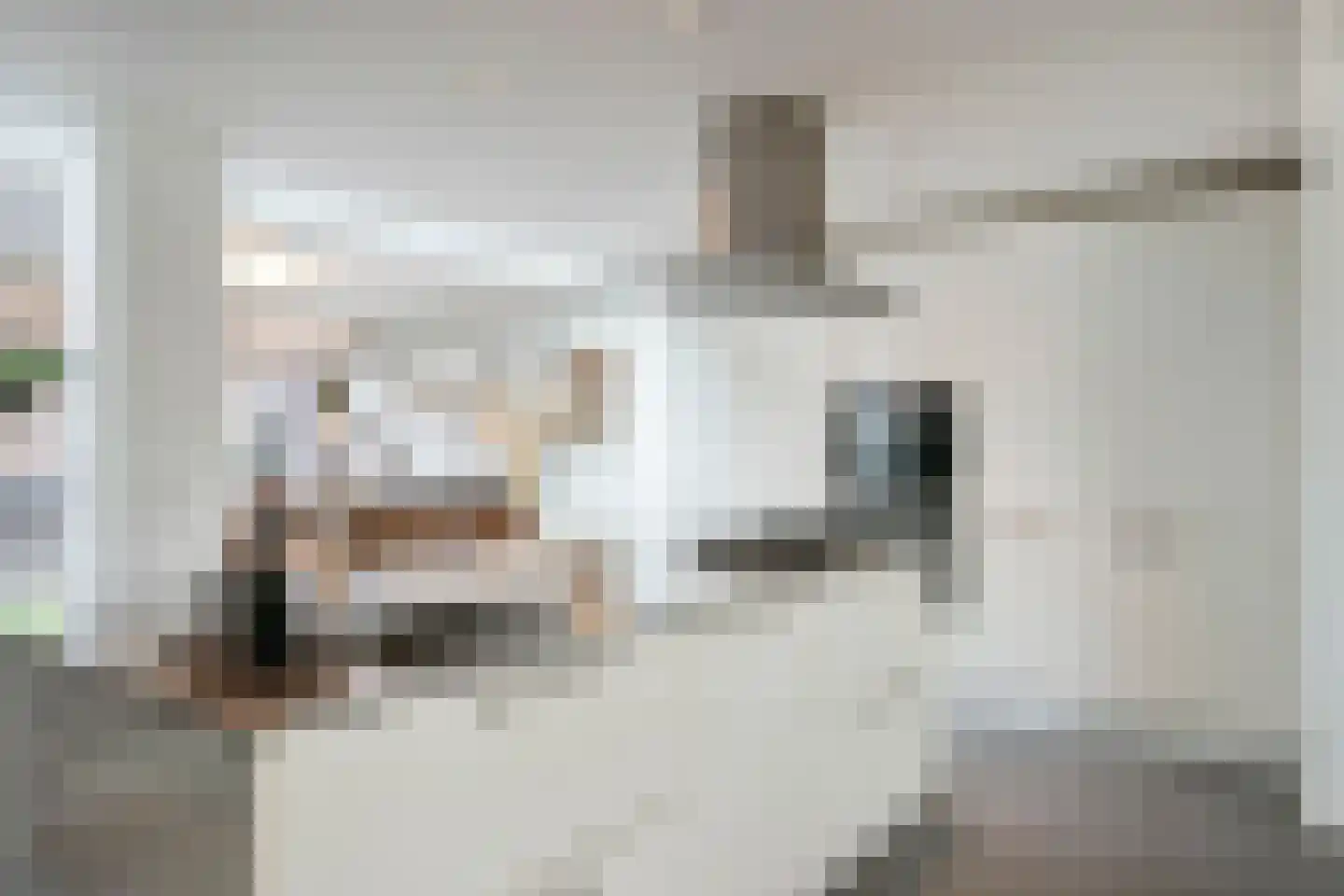 Vlasserwei 35 Valkenswaard thumbnail 11