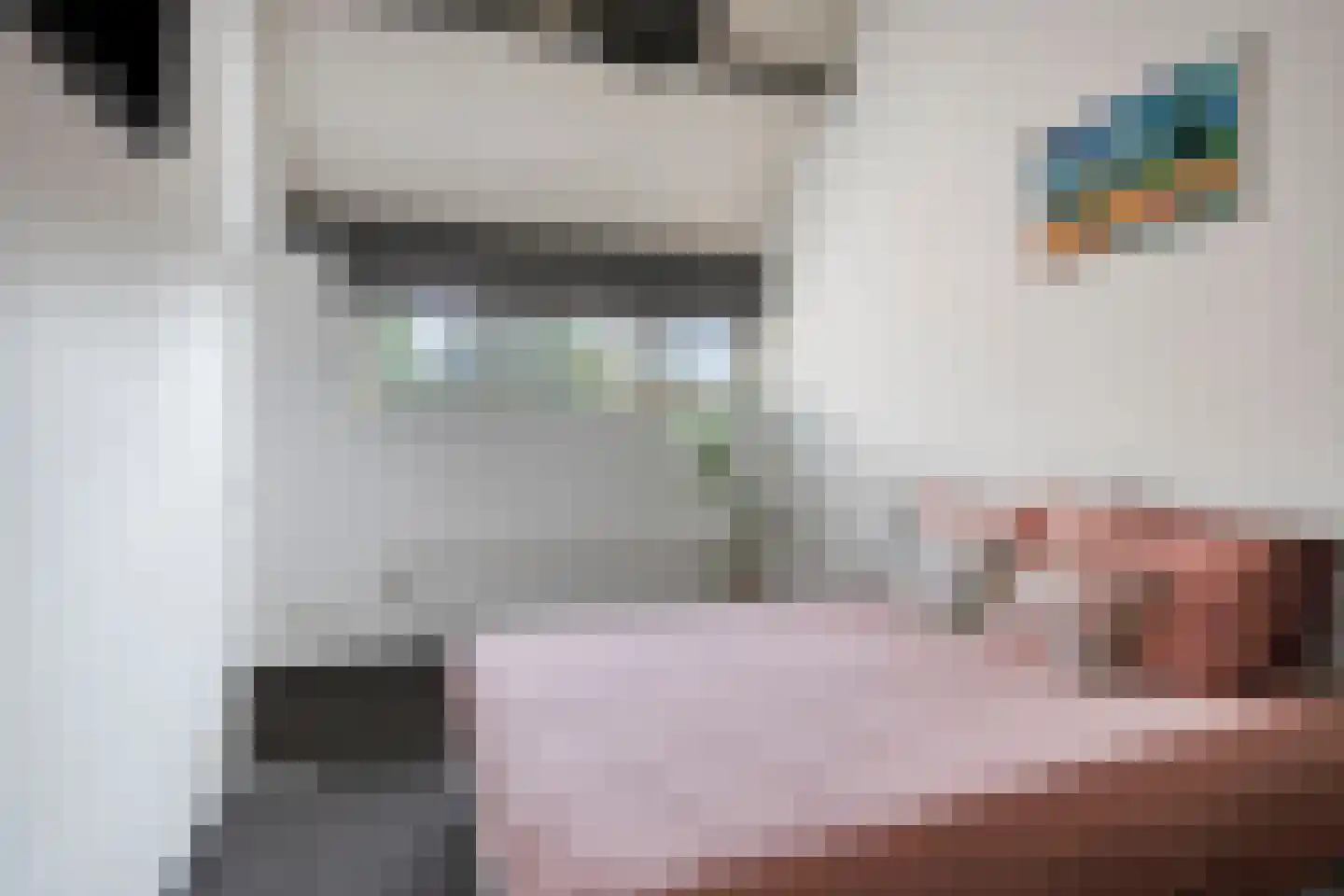 Vlasserwei 35 Valkenswaard thumbnail 25