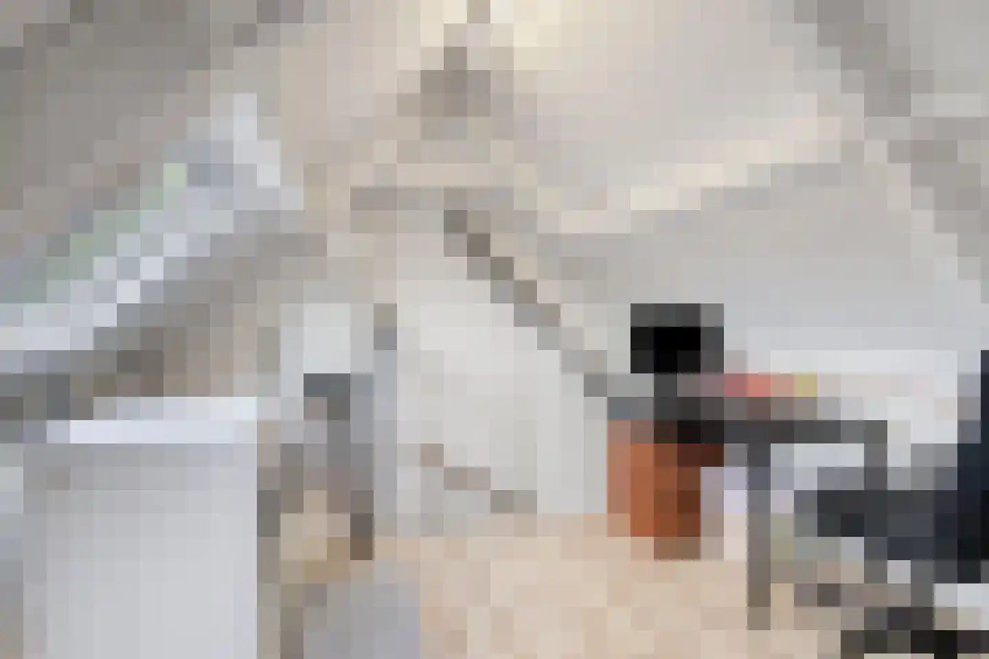 Vlasserwei 35 Valkenswaard thumbnail 32