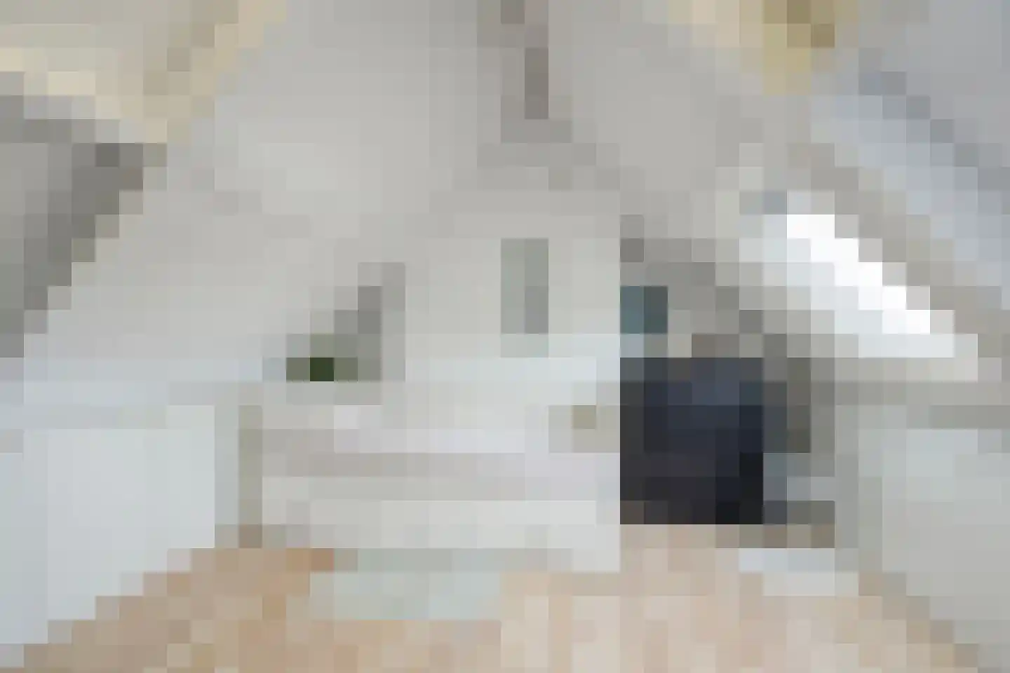 Vlasserwei 35 Valkenswaard thumbnail 33