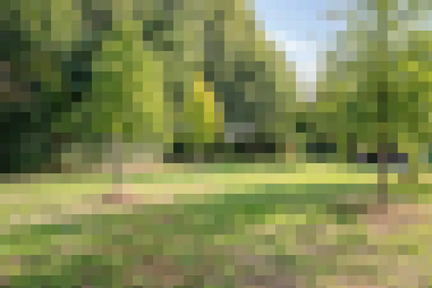 Vlasserwei 35 Valkenswaard thumbnail 37