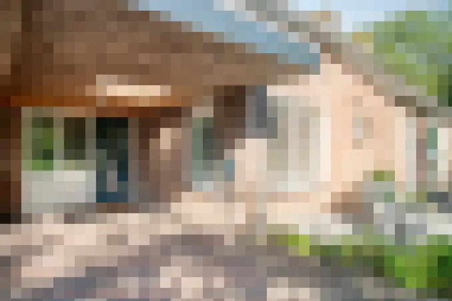 Vlasserwei 35 Valkenswaard thumbnail 6