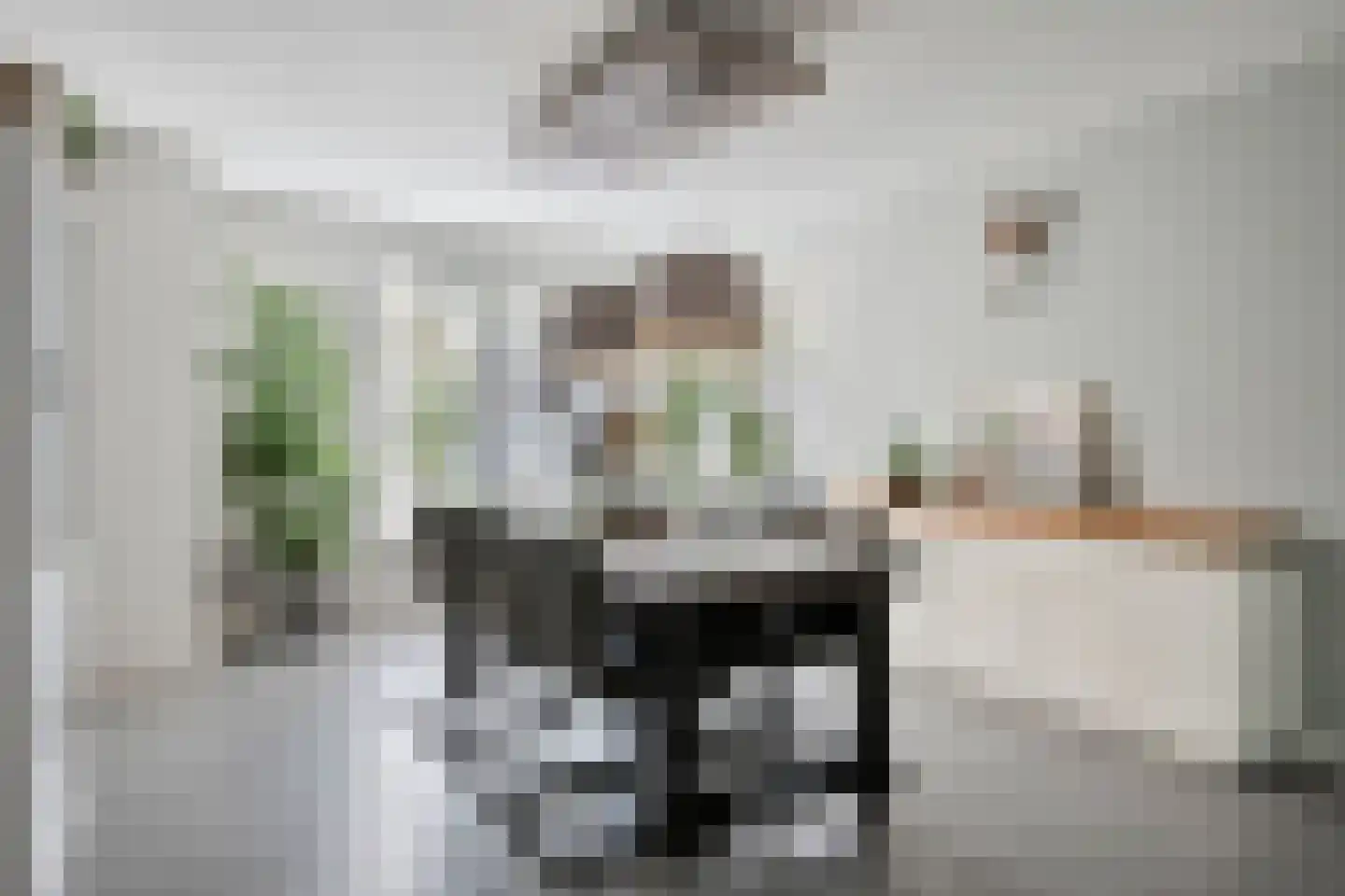 Vlasserwei 35 Valkenswaard thumbnail 8