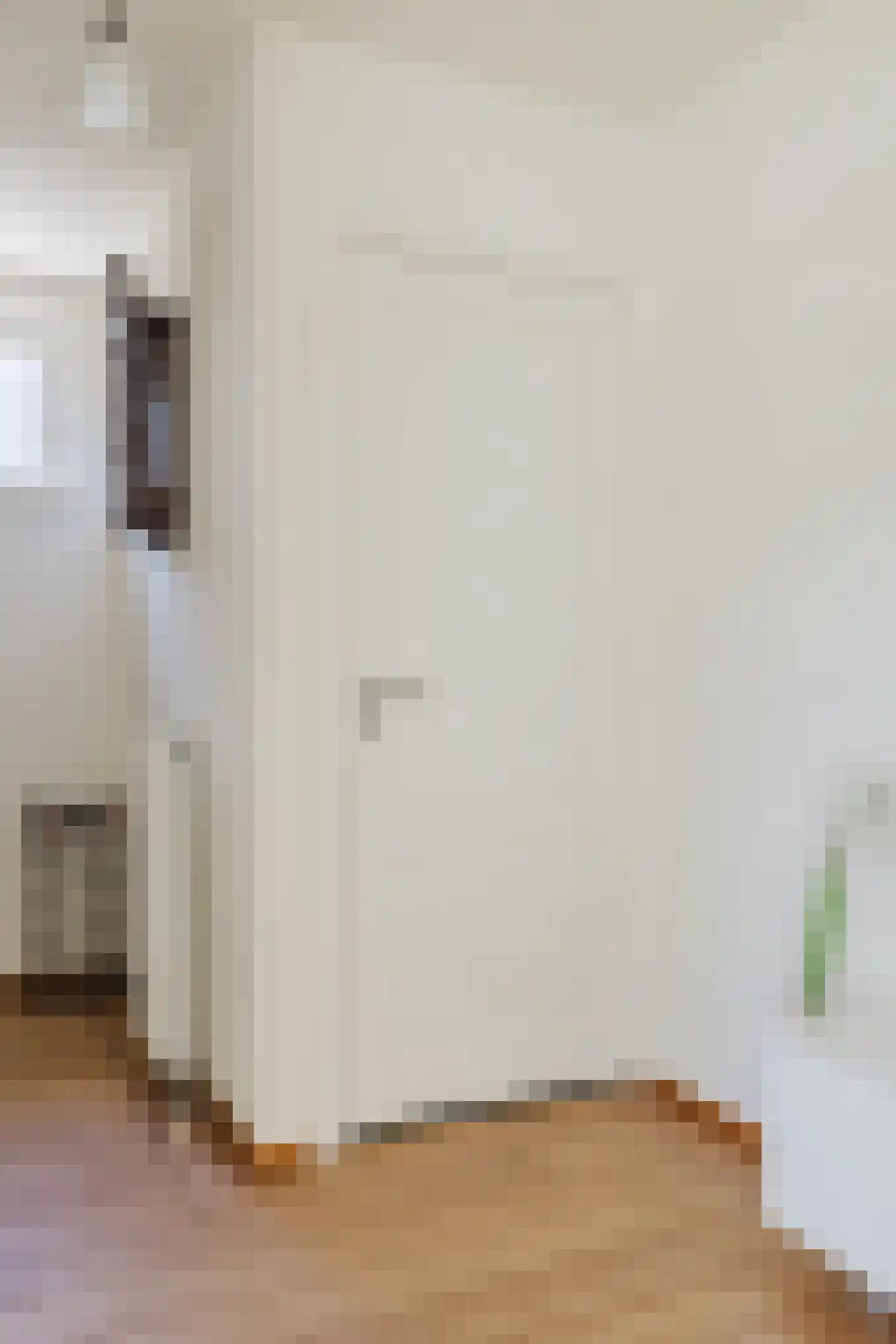 Vlasspreistraat 7 Liempde thumbnail 13