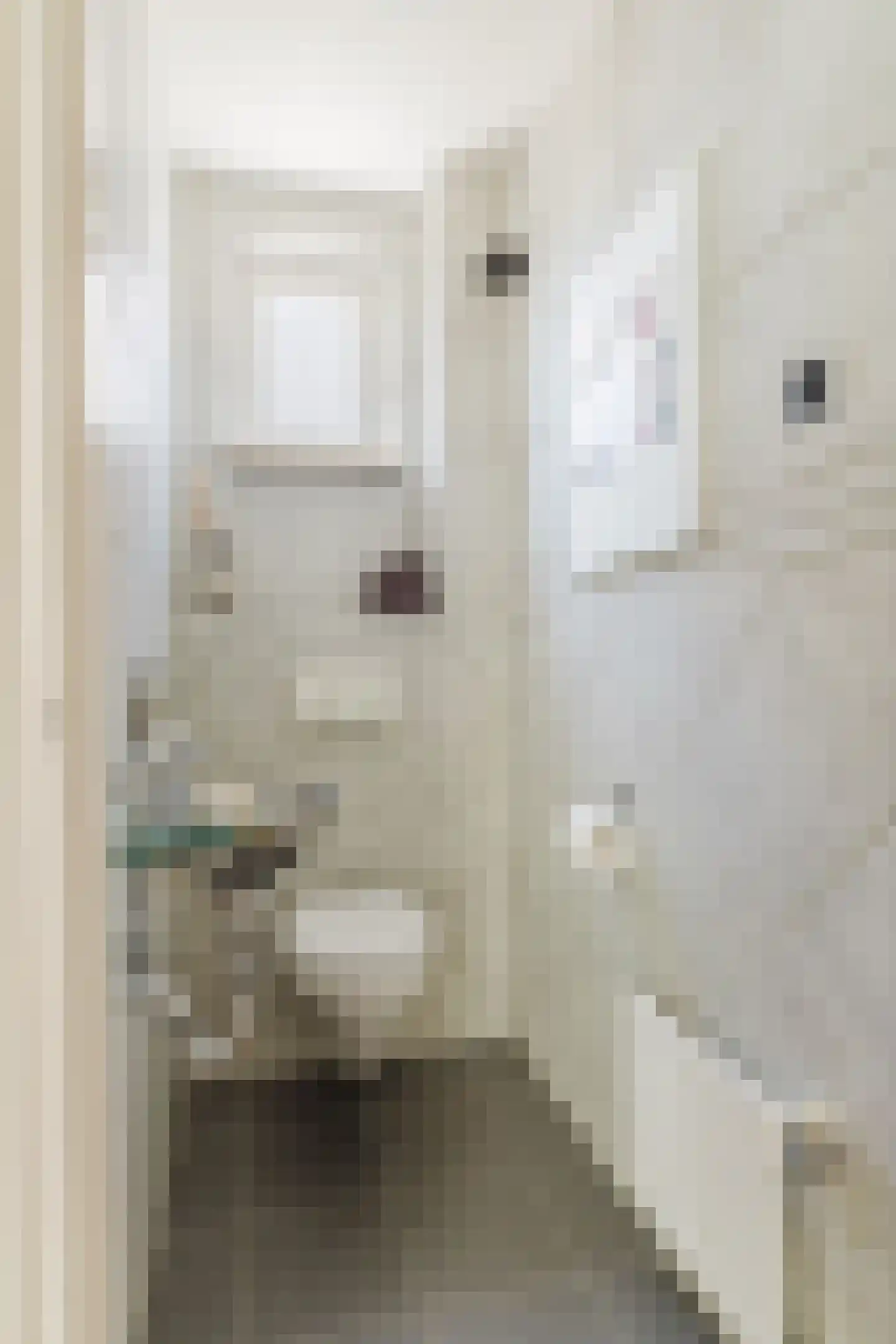 Vlasspreistraat 7 Liempde thumbnail 14