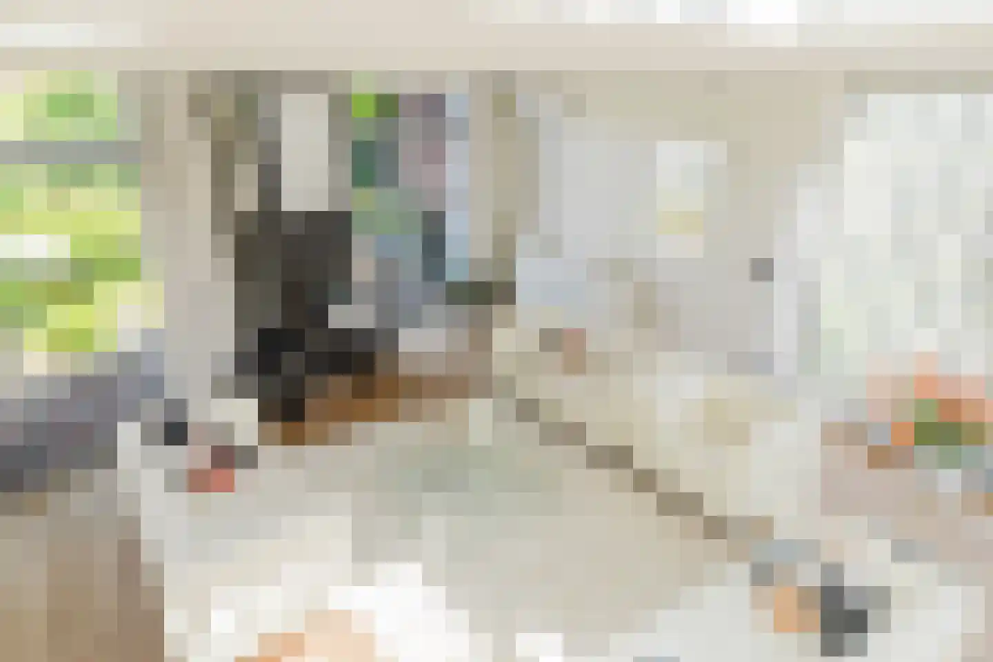 Vlasspreistraat 7 Liempde thumbnail 20