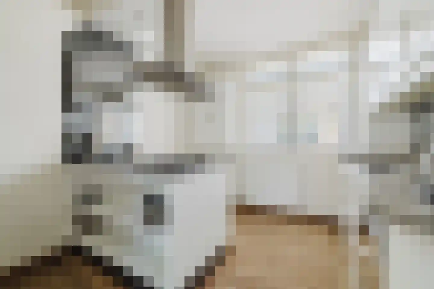 Vlasspreistraat 7 Liempde thumbnail 27