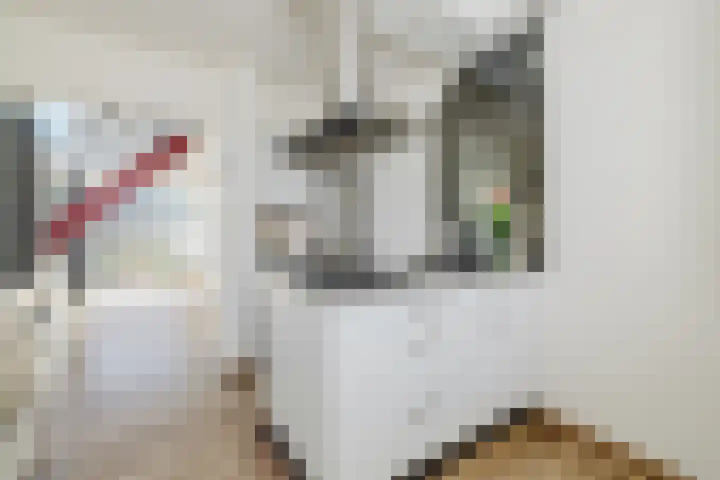 Vlasspreistraat 7 Liempde thumbnail 28