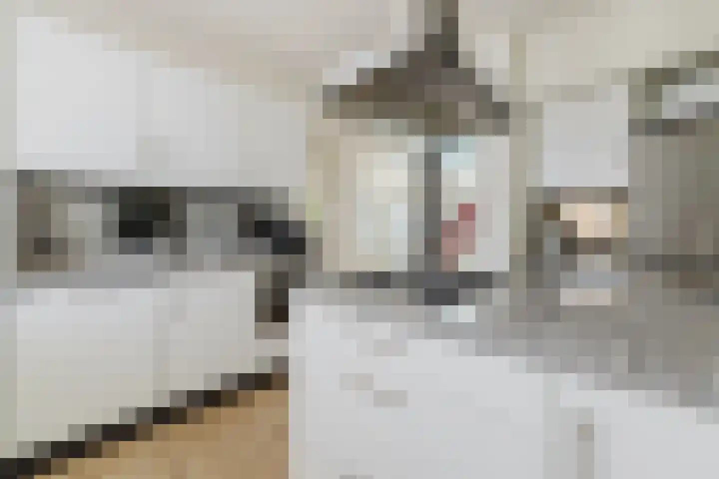 Vlasspreistraat 7 Liempde thumbnail 29