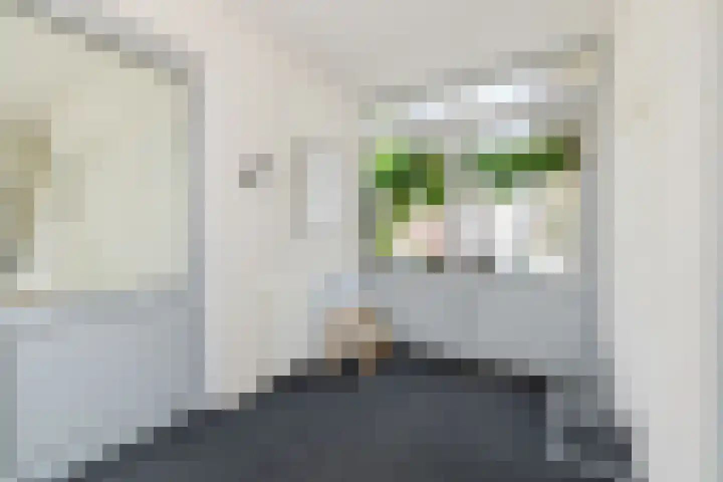 Vlasspreistraat 7 Liempde thumbnail 34
