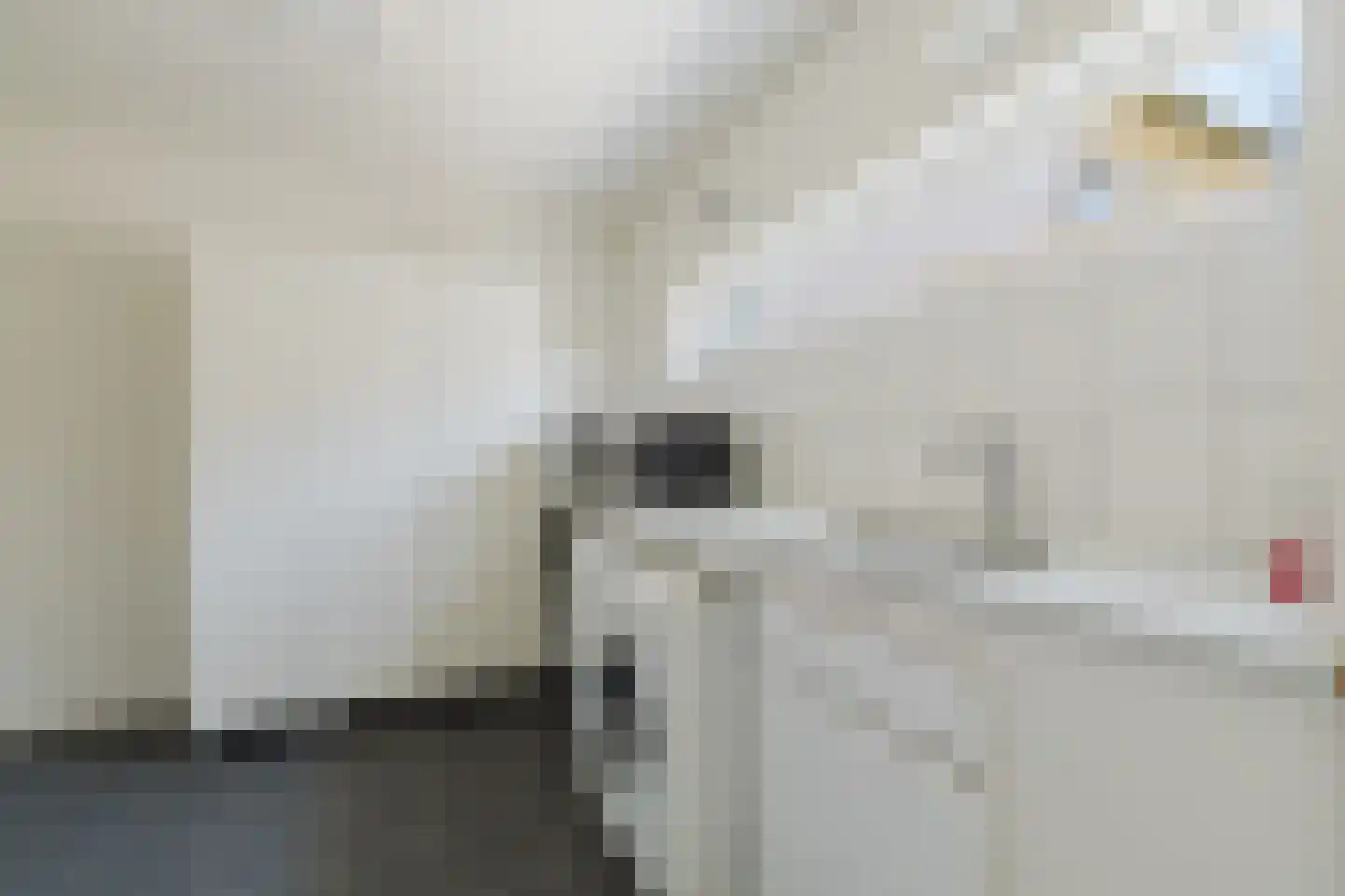 Vlasspreistraat 7 Liempde thumbnail 37