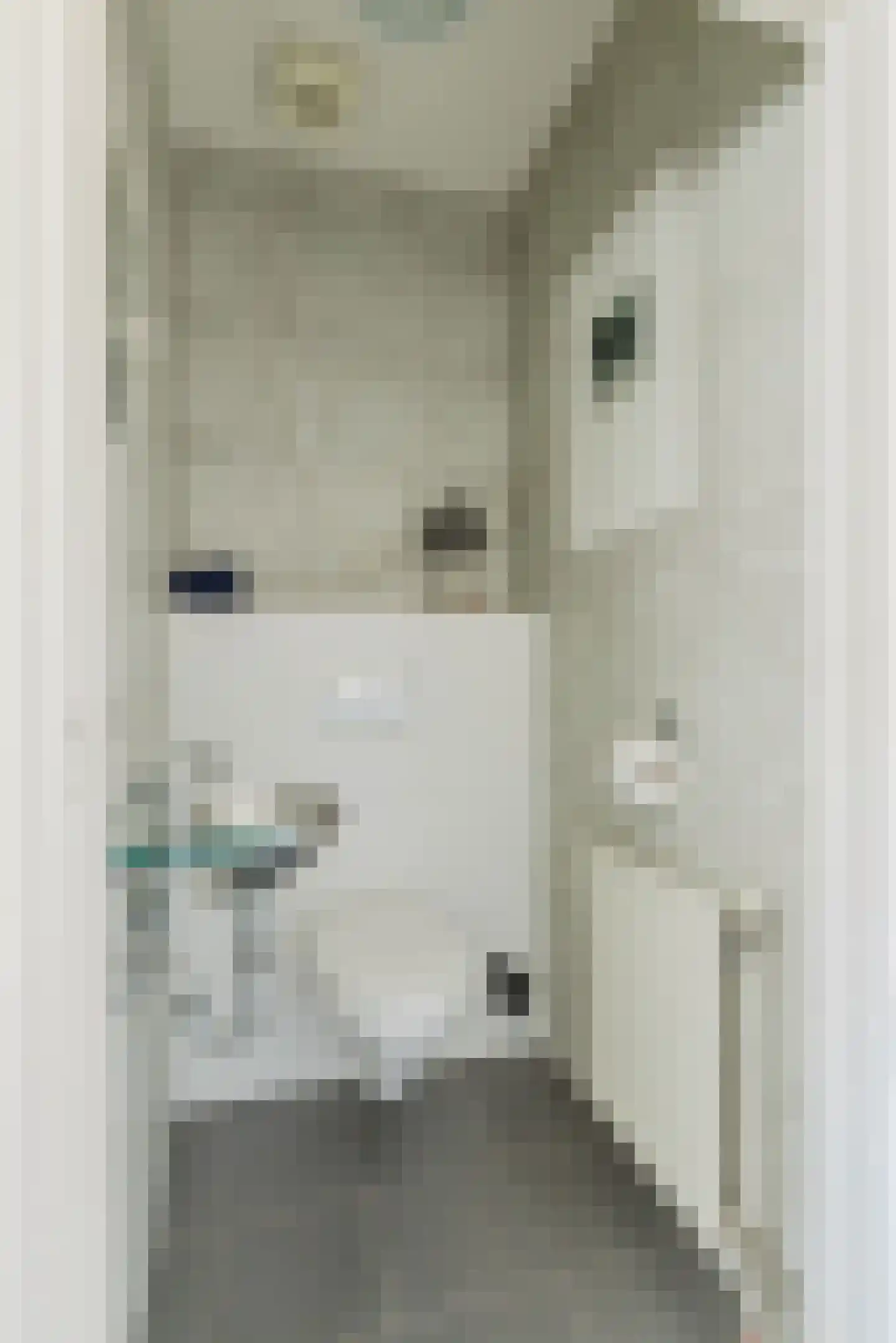 Vlasspreistraat 7 Liempde thumbnail 39