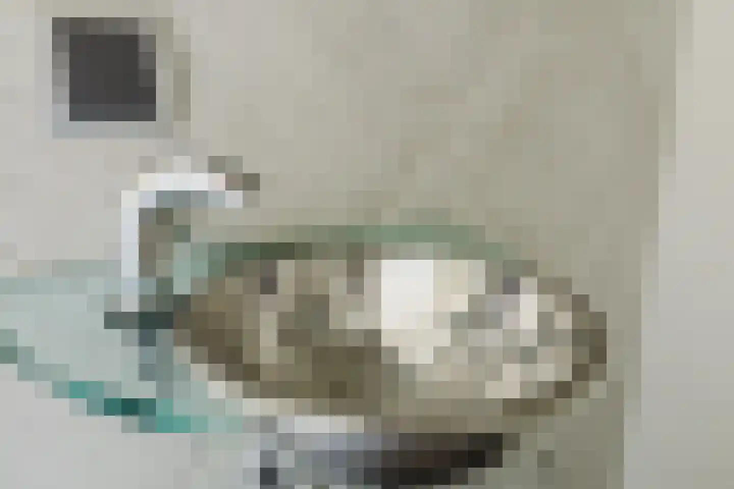 Vlasspreistraat 7 Liempde thumbnail 40