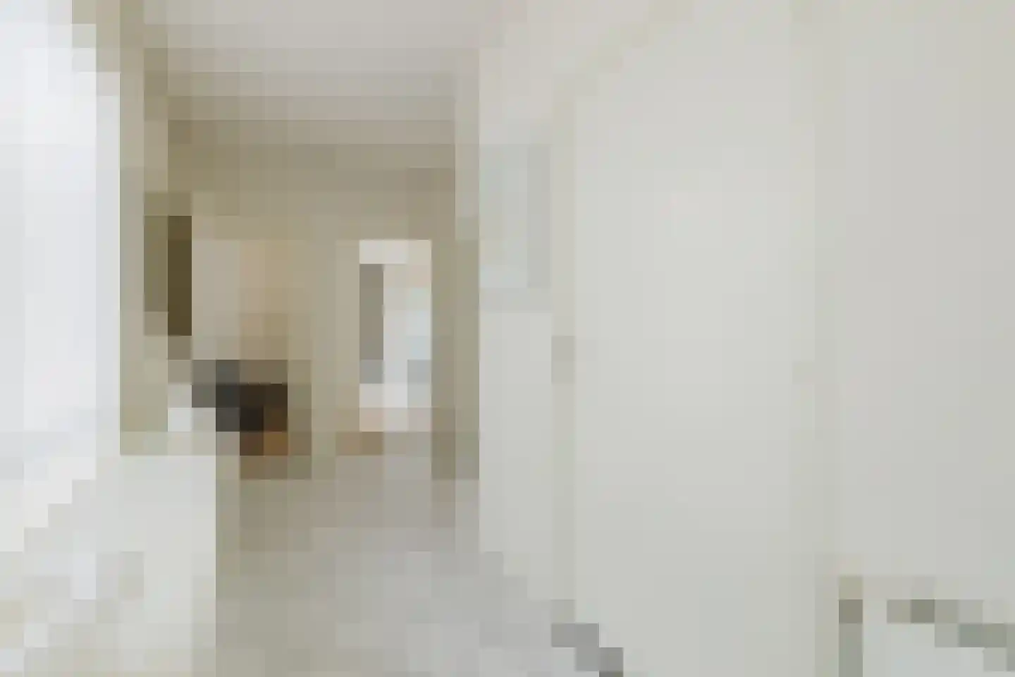 Vlasspreistraat 7 Liempde thumbnail 41