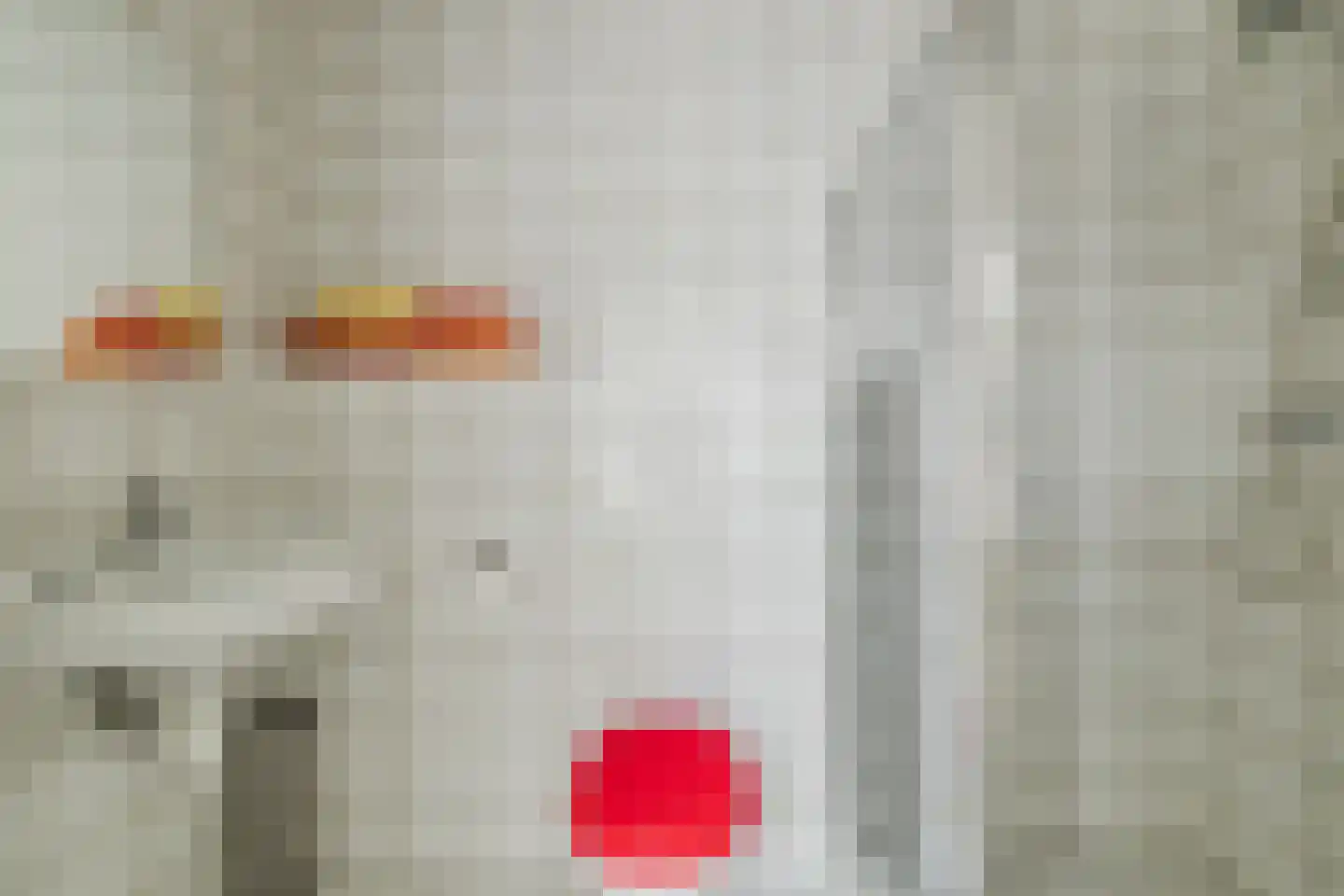 Vlasspreistraat 7 Liempde thumbnail 43