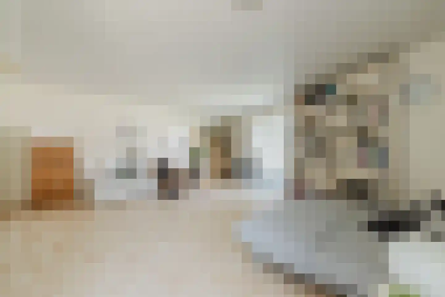 Vlasspreistraat 7 Liempde thumbnail 48