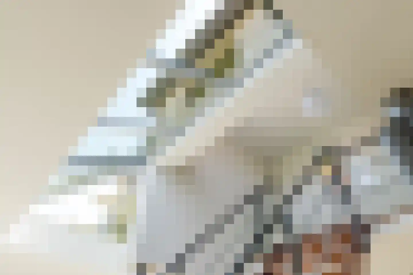 Vlasspreistraat 7 Liempde thumbnail 52