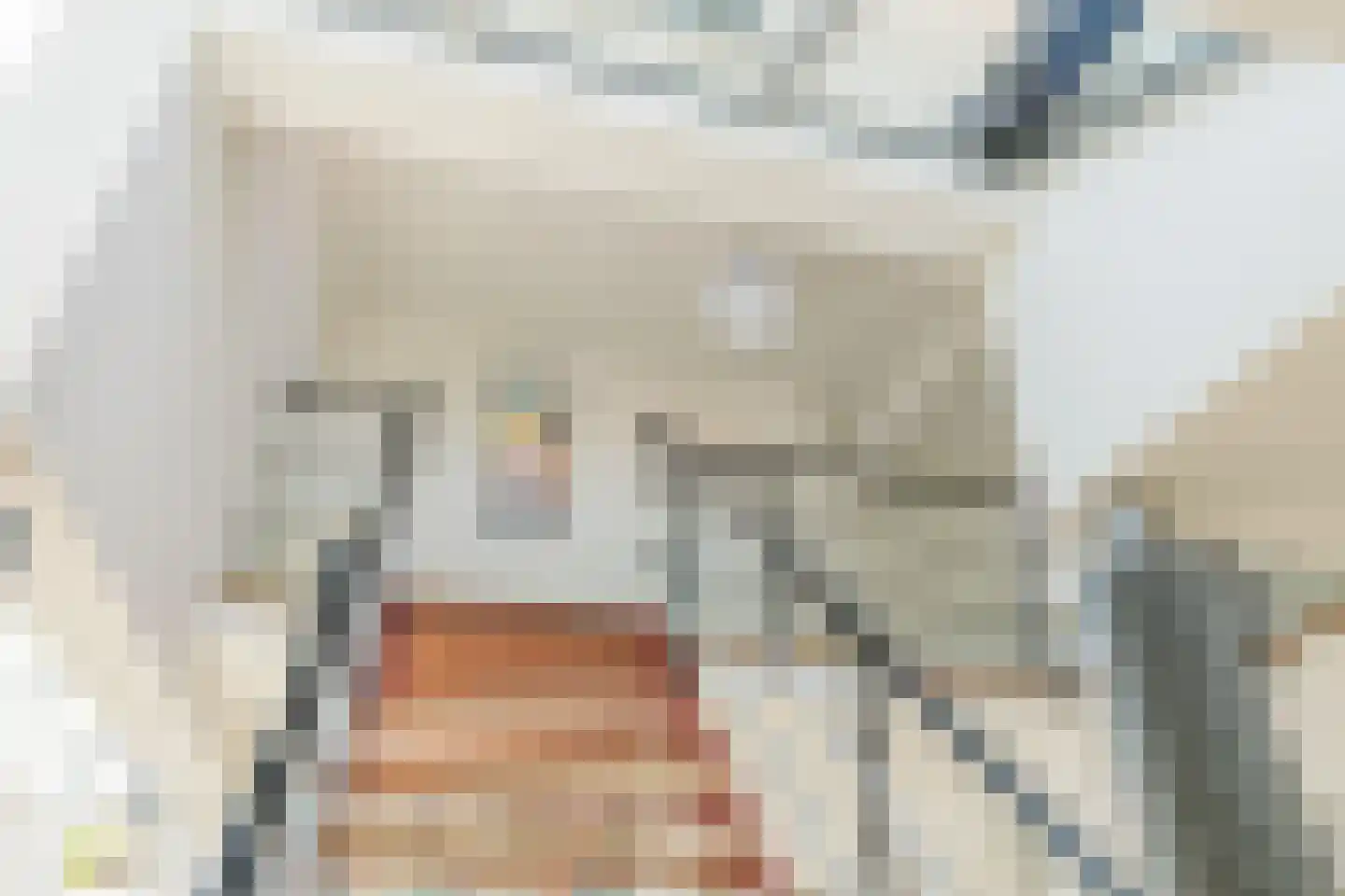 Vlasspreistraat 7 Liempde thumbnail 53