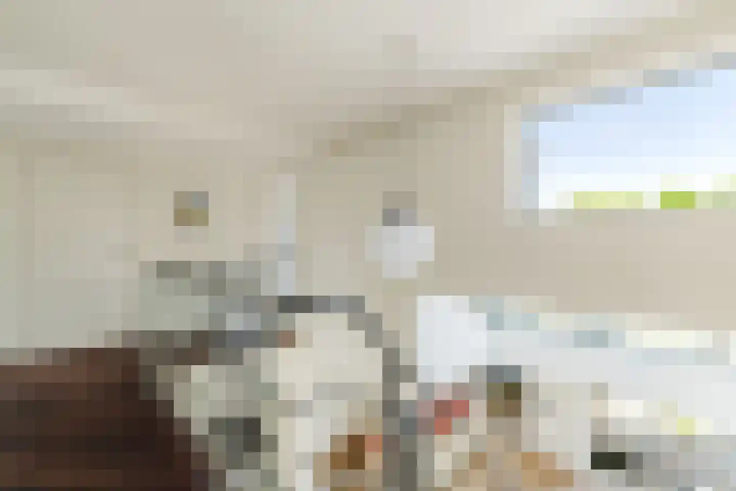 Vlasspreistraat 7 Liempde thumbnail 54
